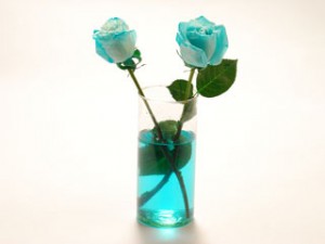 Teñido con tinta a4toner de flores