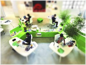 foto-oficina-feng-shuimarco